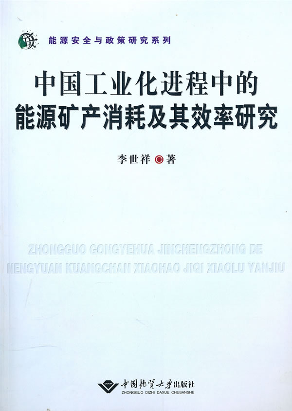 中国工业化进程中的能源矿产消耗及其效率研究