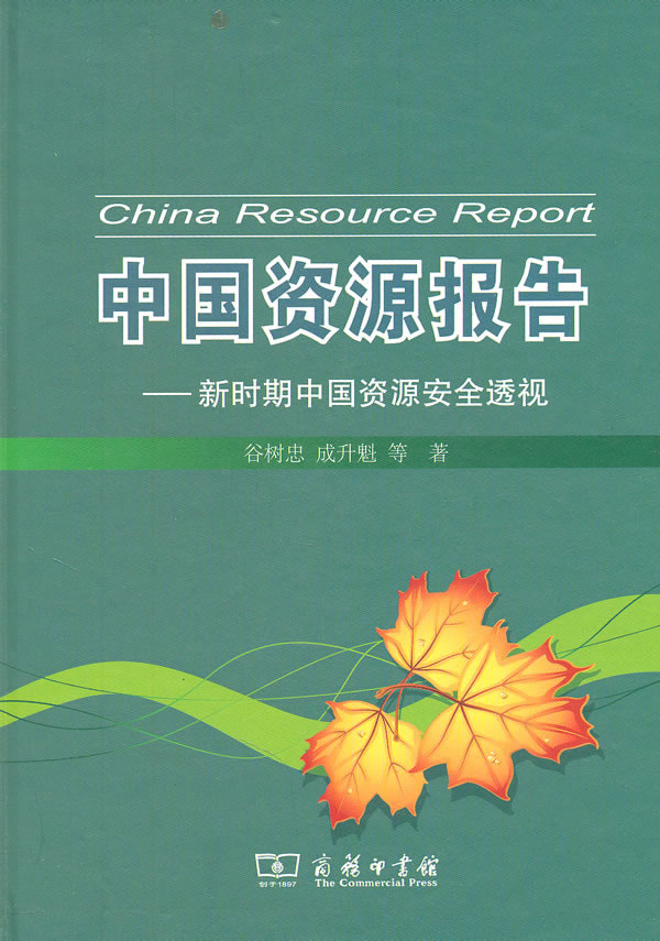 中国资源报告系列-新时期中国资源安全透视