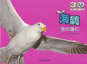 海鸥-空中渔夫-技术教育社区