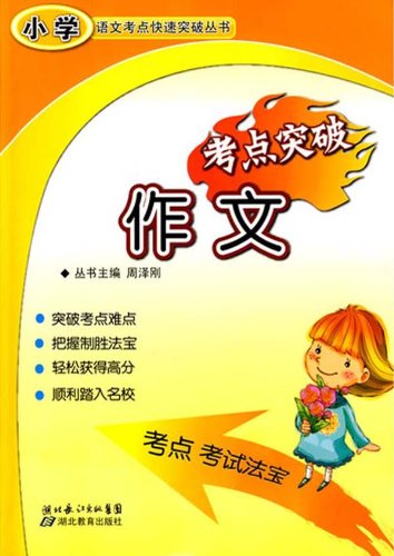 作文考点突破-小学语文重难点突破