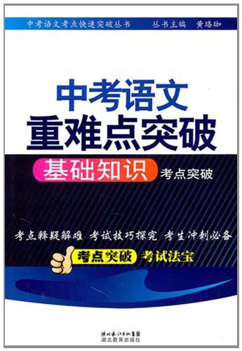 基础知识考点突破-中考语文重难点突破