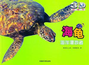 海洋漫游者-海龟-技术教育社区