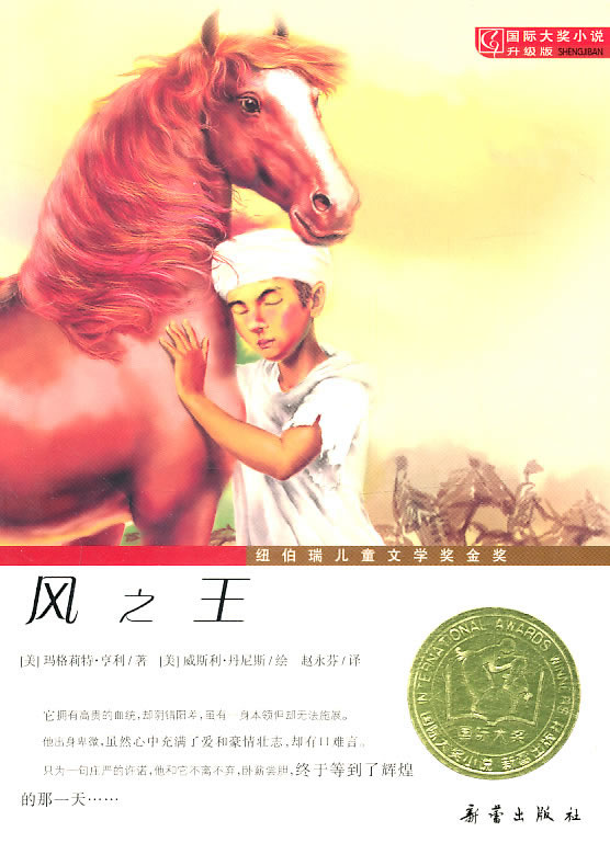 风之王-国际大奖小说升级版