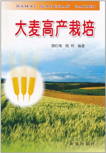 大麦高产栽培