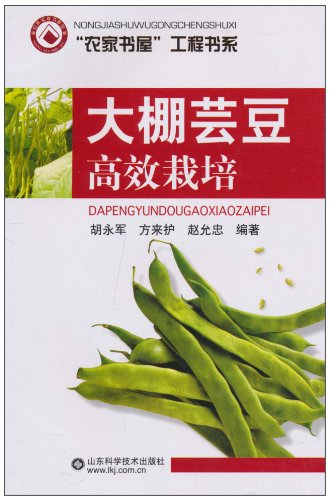 大棚芸豆高效栽培