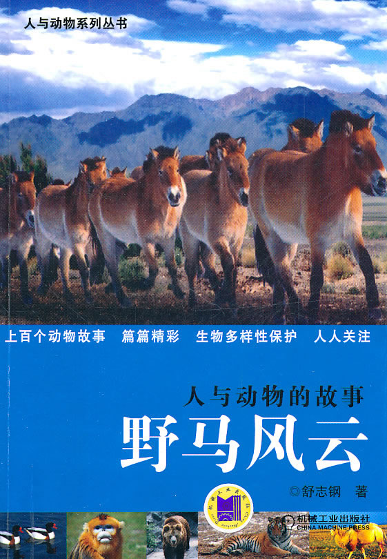 人与动物的故事野马风云