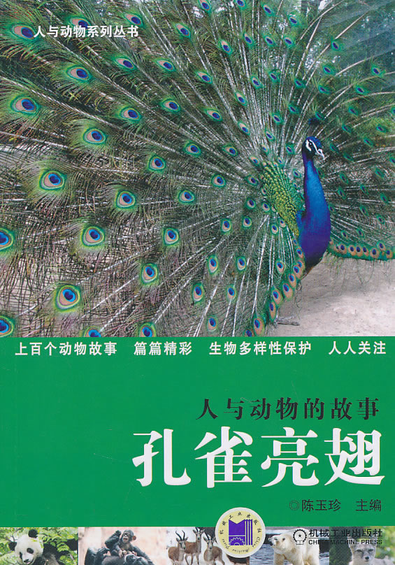 人与动物的故事 孔雀亮翅