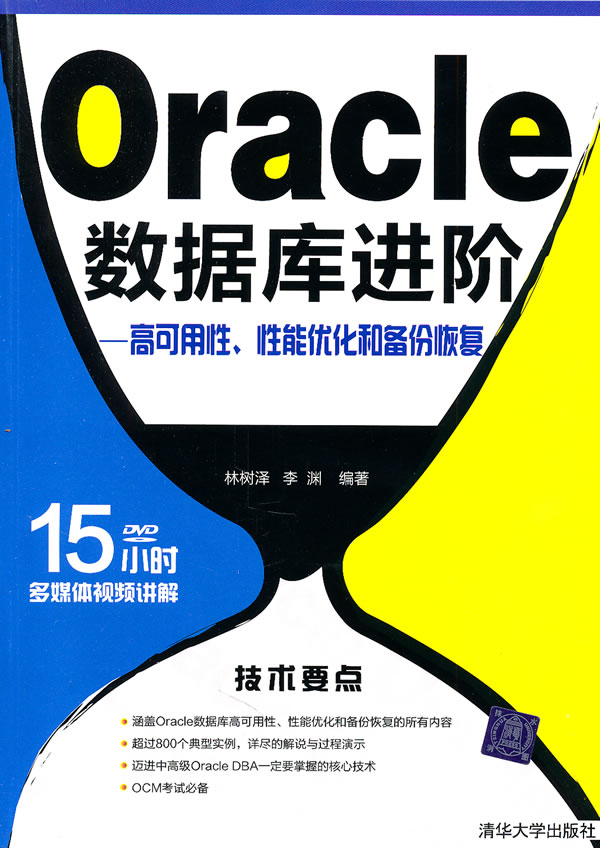 Oracle数据库进阶——高可用性、性能优化和备份恢复(配光盘)