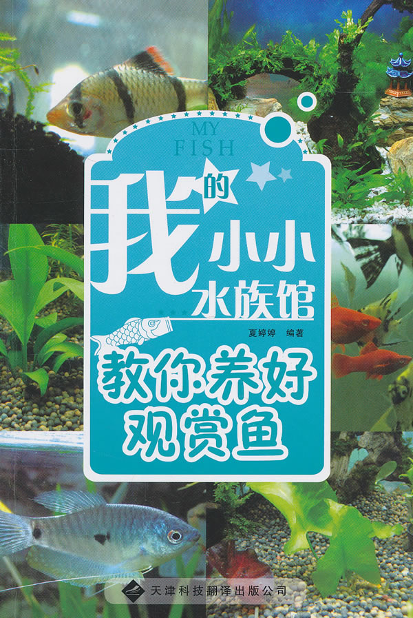 我的小小水族馆-教你养好观赏鱼