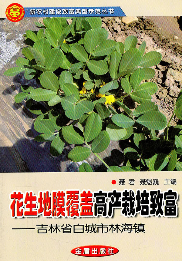 花生地膜覆盖高产栽培致富-吉林省白城市林海镇