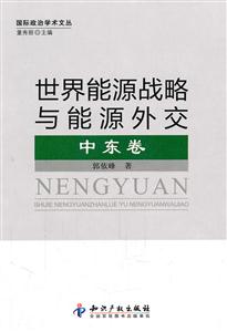 世界能源战略与能源外交-中东卷-技术教育社区