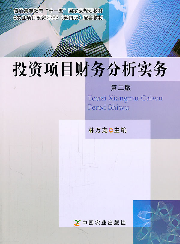 投资项目财务分析实务 第二版