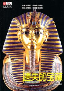 遗失的宝藏-技术教育社区