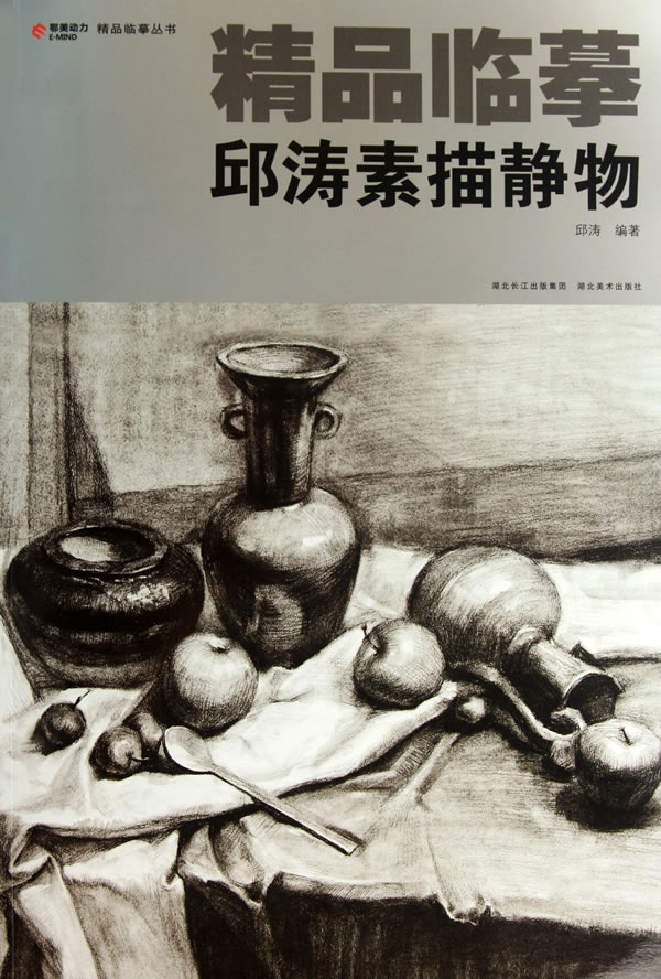 邱涛素描静物-精品临摹