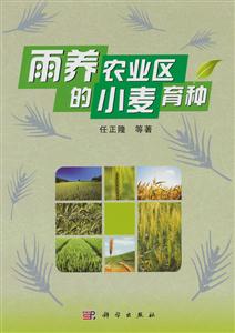 雨养农业区的小麦育种-技术教育社区