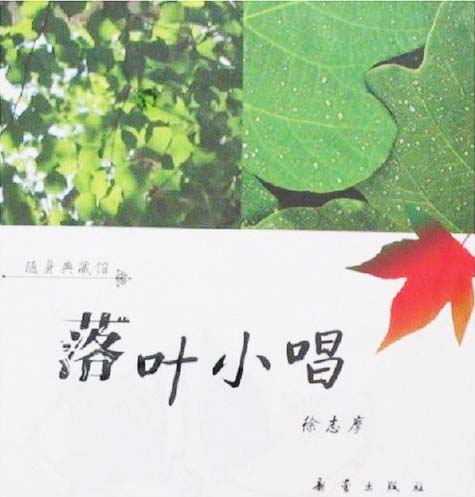 落叶小唱