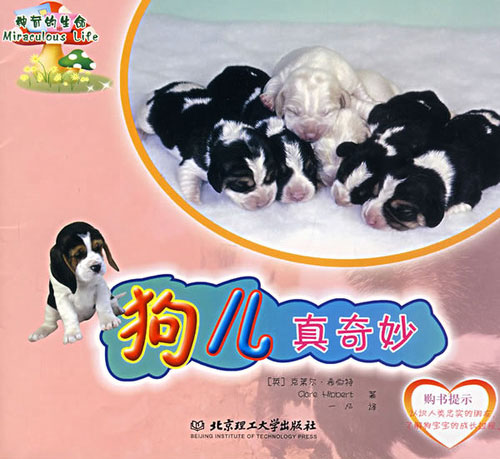 神奇的生命——狗儿真奇妙