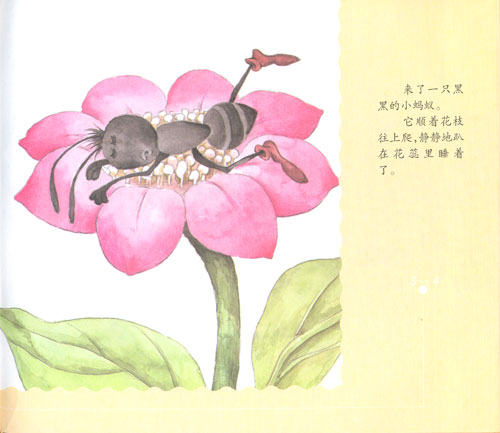 书本里的蚂蚁(精)(火凤凰彩色童话画册)
