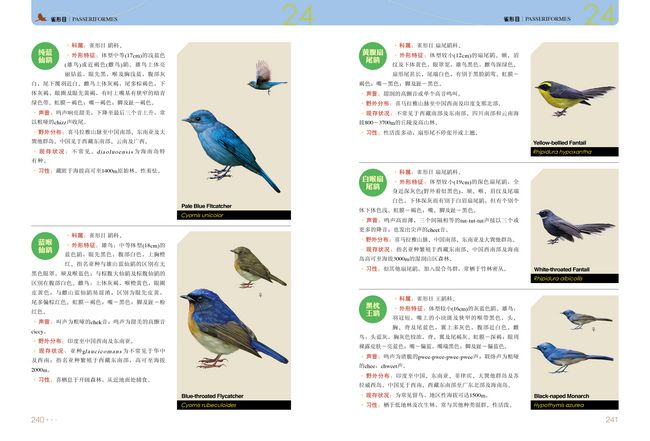 《中国鸟类图鉴》【价格 目录 书评 正版】