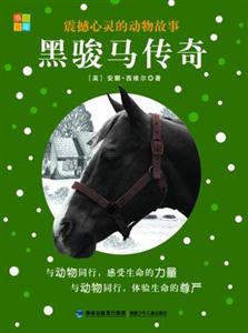 黑骏马传奇-震撼心灵的动物故事-技术教育社区