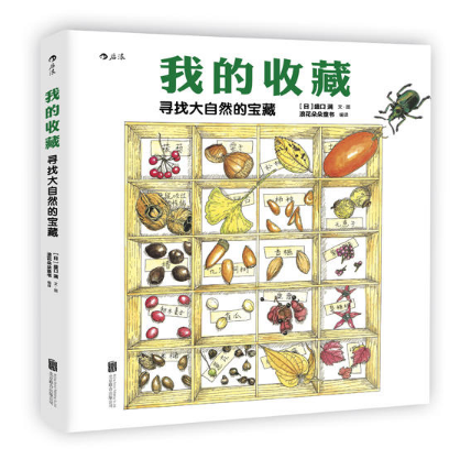 我的收藏 寻找大自然的宝藏