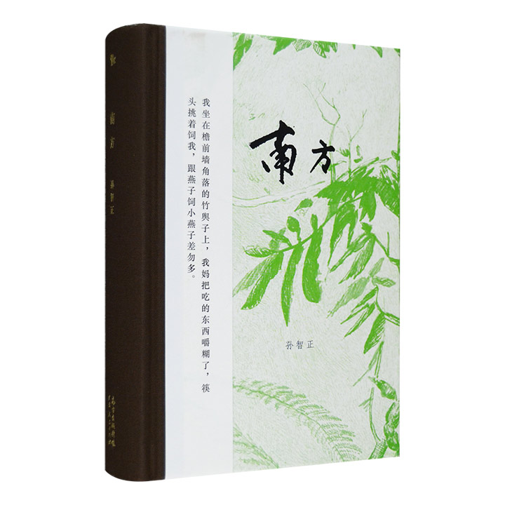 南方
