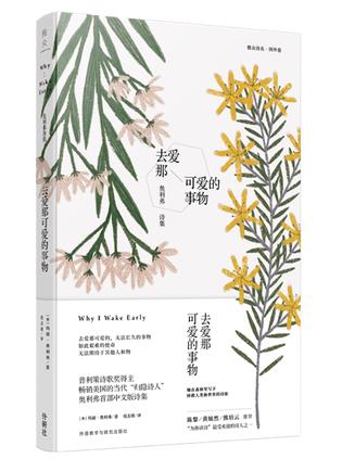 去爱那可爱的事物-奥利弗诗集