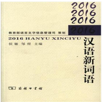 2016-汉语新词语