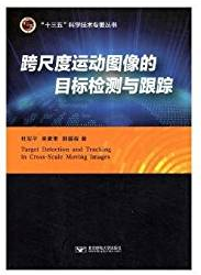 跨尺度运动图像的目标检测与跟踪