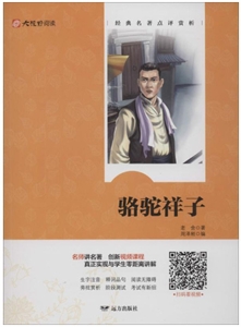 骆驼祥子:大视野阅读-技术教育社区