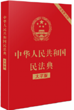 中华人民共和国民法典(大字版)32开大字条旨 红皮烫金版(含草案说明)