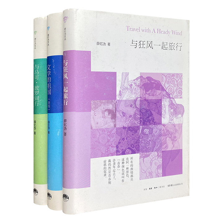 团购：(精)薛忆沩文丛全3册