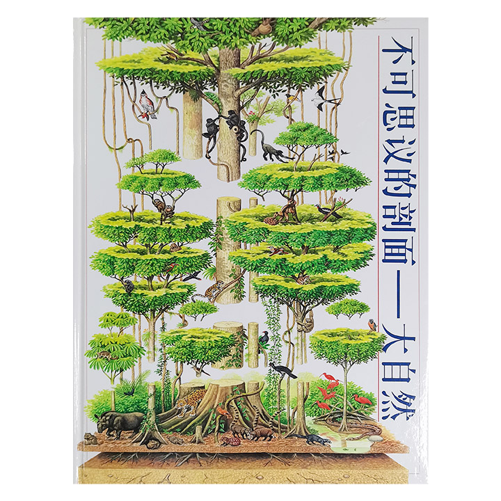 (精)不可思议的剖面:大自然