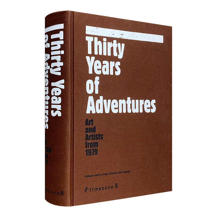 Thirty Years of Adventures(中国新艺术三十年)