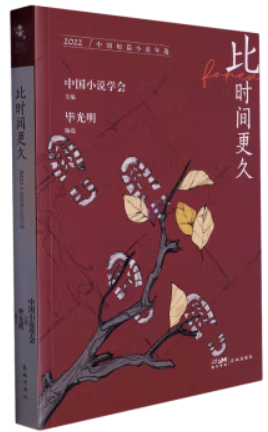 比时间更久:2022中国短篇小说年选