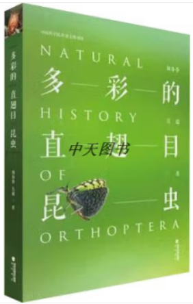 多彩的直翅目昆虫