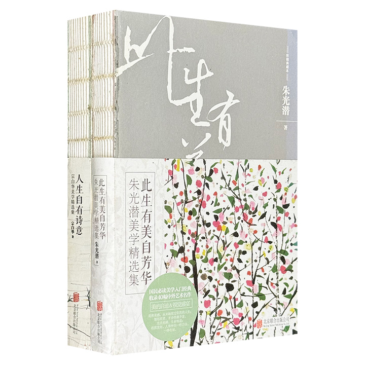 团购：国民美学入门经典：朱光潜+宗白华