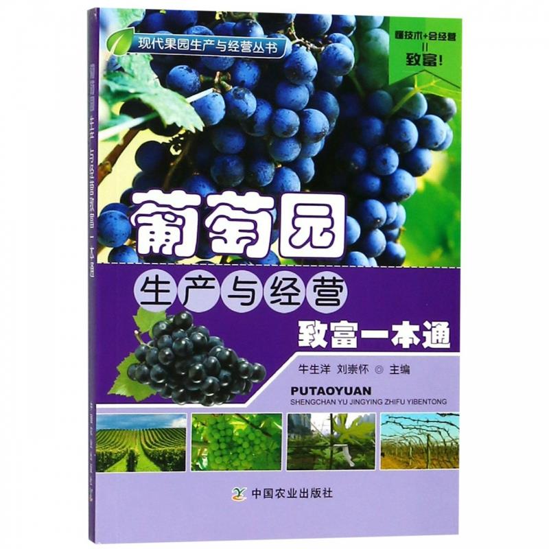 葡萄园生产与经营致富一本通