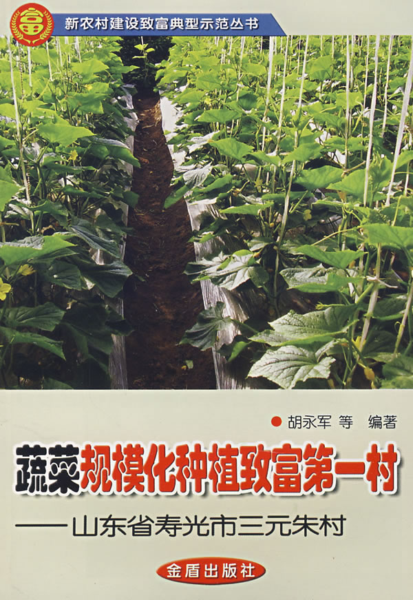 蔬菜规模化种植致富第一村-山东省寿光市三元朱村