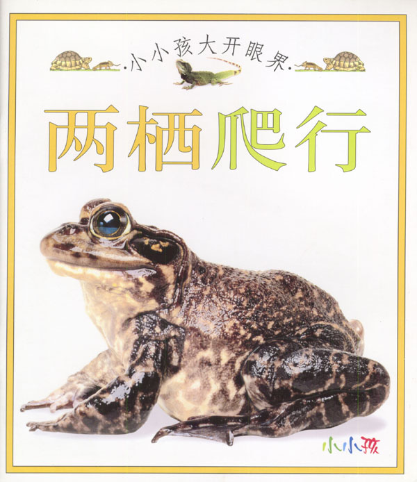 小小孩大开眼界:两栖爬行
