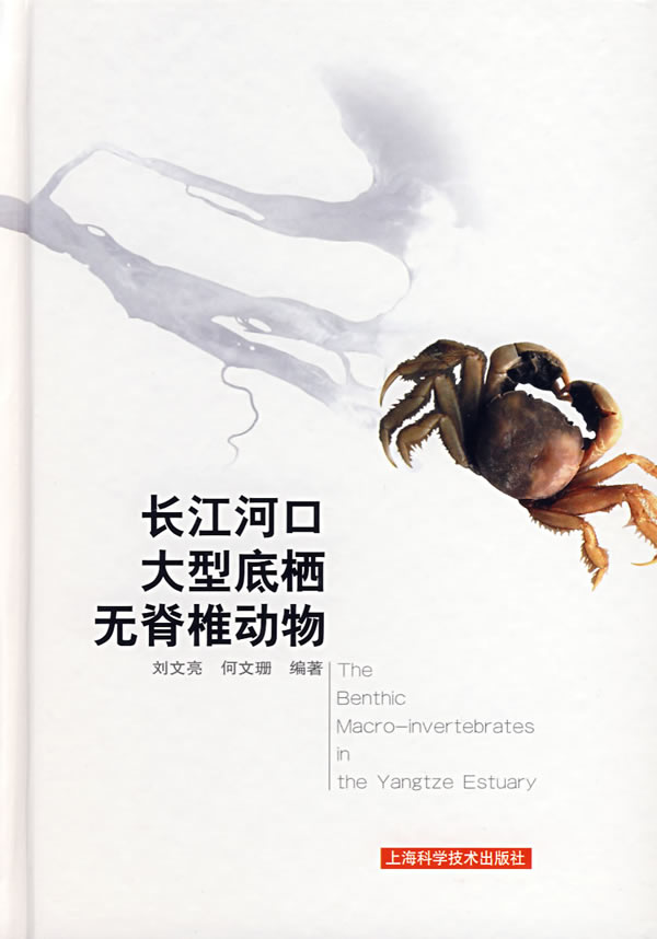 长江河口大型底栖无脊椎动物