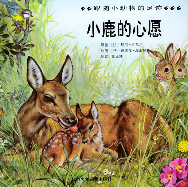 小鹿的心愿:跟随小动物的足迹