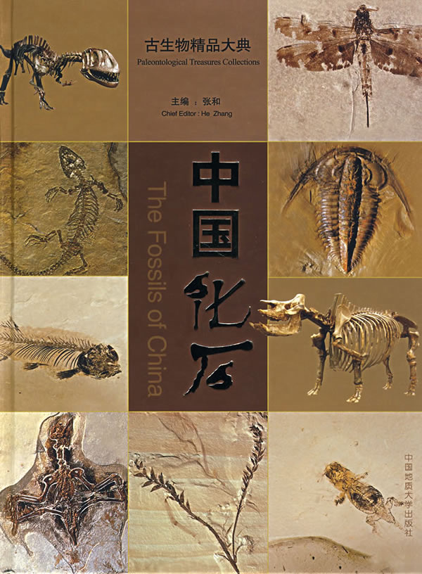 中国化石