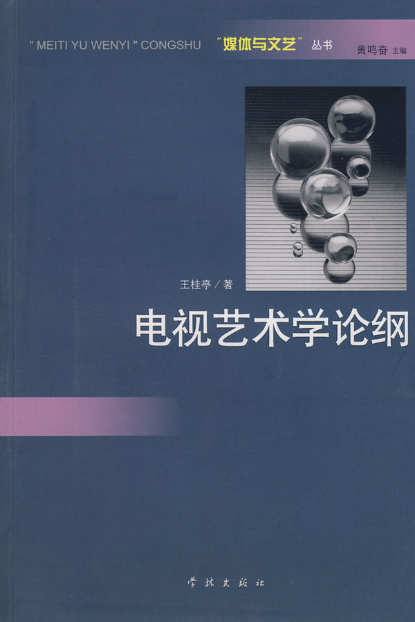 电视艺术学论纲