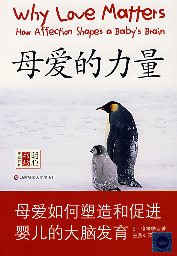 母爱的力量-母爱如何塑造和促进婴儿的大脑发育