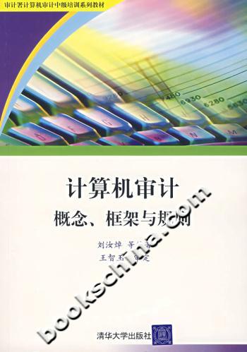 计算机审计概念、框架与规则