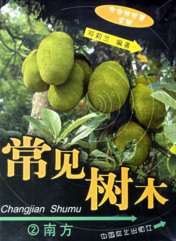 常见树木-2南方