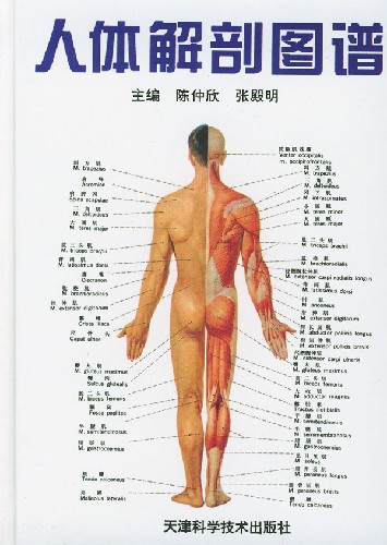 人体解剖图谱