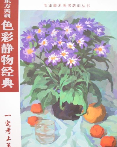 东方美训色彩静物经典