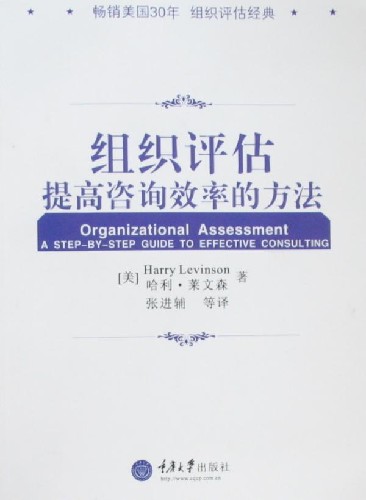 组织评估提高咨询效率的方法